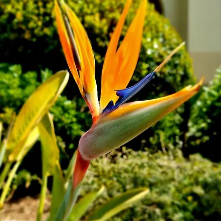 Les Rivages - 6p - Front De Mer, Piscine